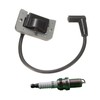 OakTen Ignition Coil Spark Plug Pack compatible with 24 584