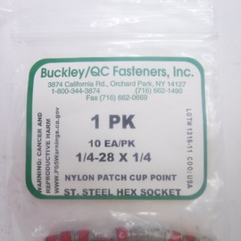 Buckley/QC Fasteners, Inc. 20 Pack Hex Socket Nylon Patch Cup Set Screw 1/4-28 x 1/4" Stainless Steel