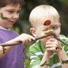 CHARLENT 148 Individually Sheets Bug Temporary Tattoos for Kids -