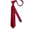 DiBanGu Red Plaid Ties for Men Classic Extra Long Solid