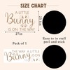 A Little Bunny is One The Way Baby Shower Balloons