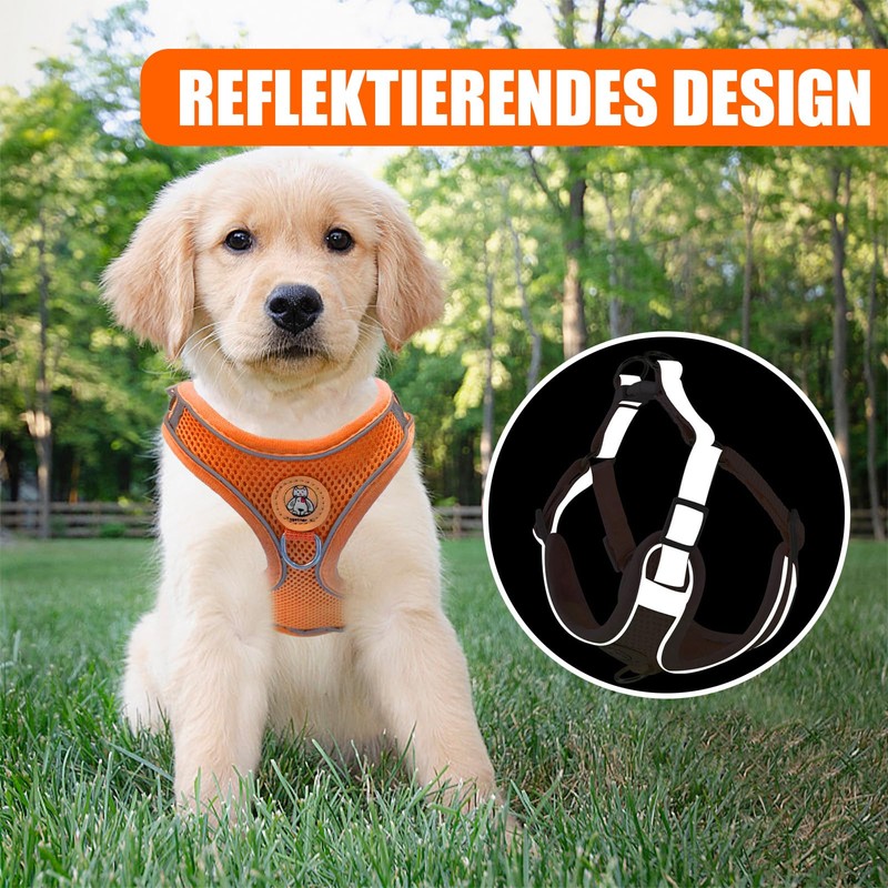 Dog Harness with Dog Lead Set, Air Mesh Breathable Chest