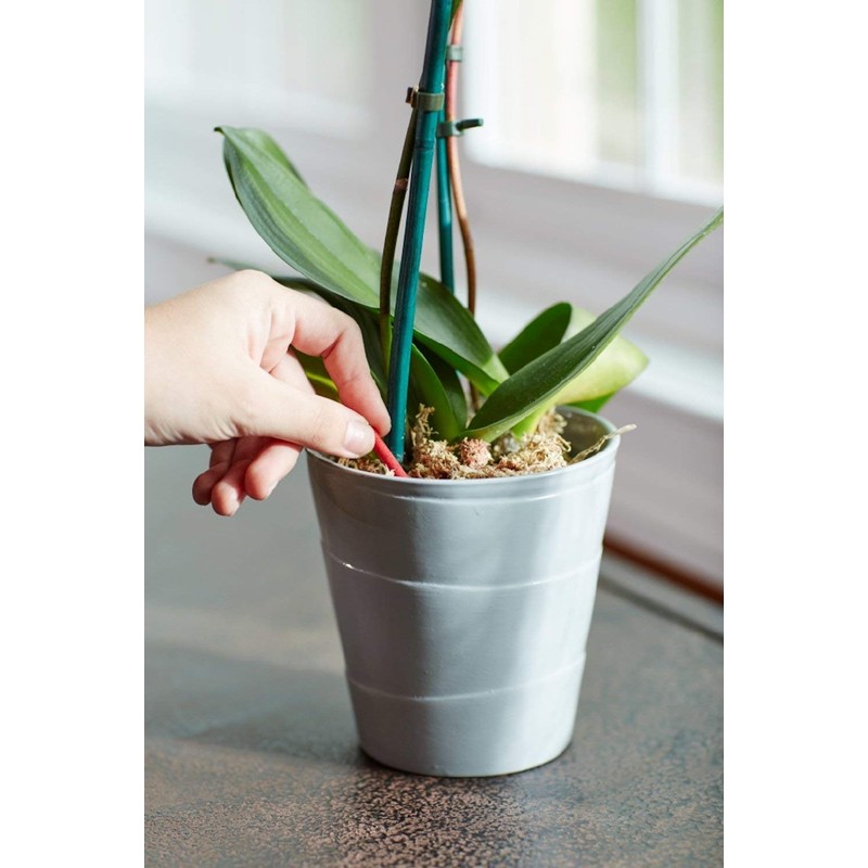 Miracle-Gro Orchid Plant Food Spikes (3)