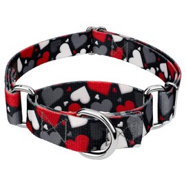 Country Brook Petz - Be Mine Martingale Dog Collar - Affection Collection Featuring Designs You'll Adore (1 Inch, Large)