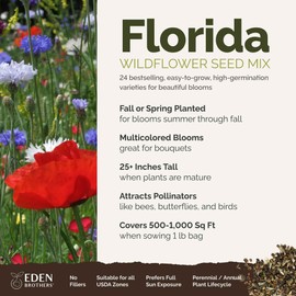 Eden Brothers Florida Wildflower Mixed Seeds for Planting, 1 lb, 480,000+ Seeds with Cornflower, Cosmos, African Daisy | Attracts Pollinators, Plant in Spring or Fall, Zones 3, 4, 5, 6, 7, 8, 9, 10