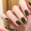 Senvenski Grün Jelly Gel Nagellack Rein Türkis Magnetisch Nagellack Transparent