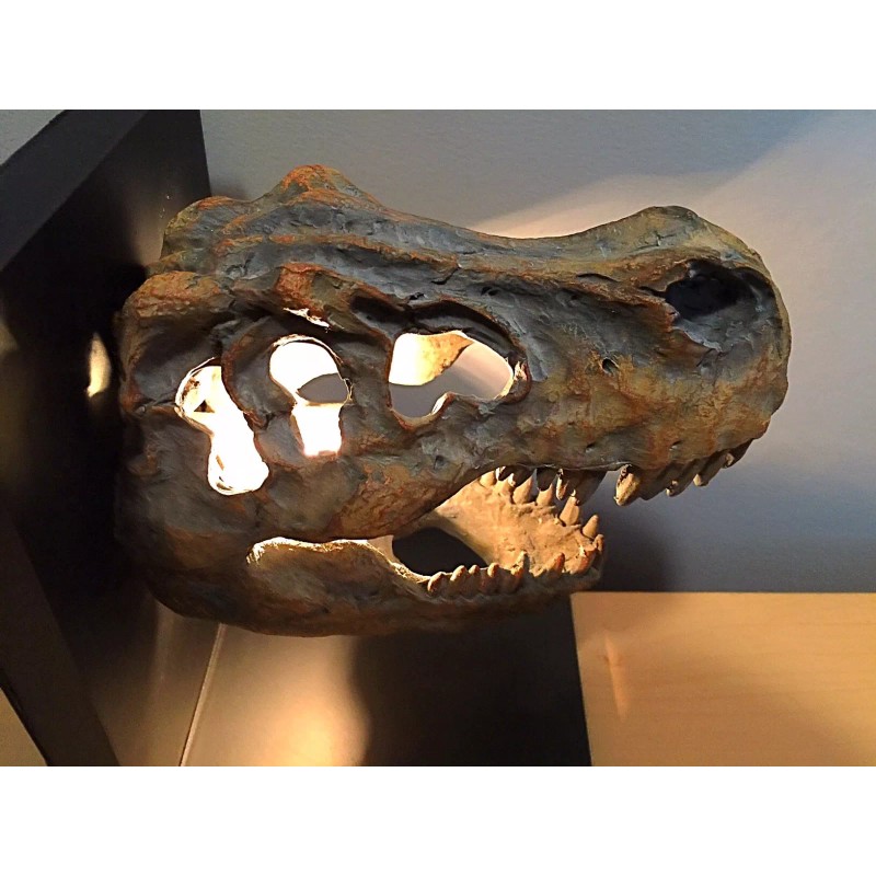 Dinosaur fossil light