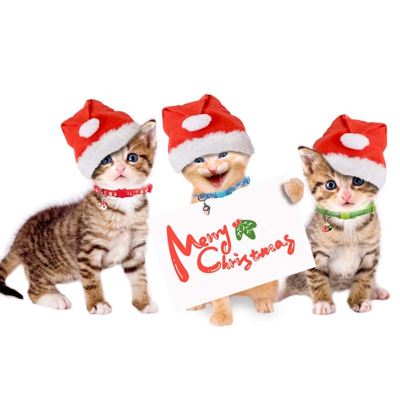 3PCS Christmas Breakaway Cat Collars with Bell Safe and Adjustable