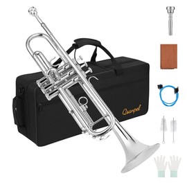 Bb Standard Instruments Silver Trumpet for Adults with Case Valve Oil 7C Mouthpiece and Cleaning Kit