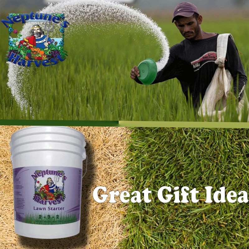 Neptune's Harvest Lawn Starter Fertilizer, 5 Gallon Pail