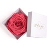 Infinity Rose Preserved Rose Box I Love You Gift for