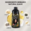 Shampoo Con Tinte De Cubre Canas Natural Jengibre 500ml