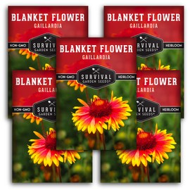 Survival Garden Seeds - Blanket Flower Seed for Planting - 5 Packs with Instructions to Plant and Grow Gaillardia Pulchella in Your Home Vegetable Garden - Non-GMO Heirloom Variety