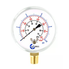 CARBO INSTRUMENTS 2-1/2" Capsule Diaphragm Pressure Gauge 10 PSI 1/4" NPT Low Mnt, Adjustable Zero