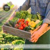 Yimi Dried Vegetables, Dehydrated Vegetables Mix For Soup, Dried Veggie,