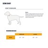 Carhartt Pet Fully Adjustable Wide Webbing Collar for Dogs, Heavy