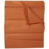 Baby Blue Tissue Sheets - (10 Ct) - Perfect for