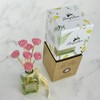 Penny & Rose Ceramic Rose Diffuser | Springhouse Watermelon Oil