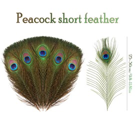 Forreen Real Peacock Feathers, Pack of 50, Natural Peacock Feathers, 25-30 cm, Beautiful Eyes, Peacock Tail Feathers, Reliable DIY Peacock Decoration for Crafts, DIY Crafts, Wedding Decoration