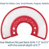 Pet Plastic Clear Cone Recovery E-Collar with Dots Design, Soft