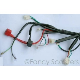 Peace Sprots POLARIS STYLE SPORTY KID ATV 110CC 125CC WIRE HARENESS TPATV507, ROKETA,SUNL,BM