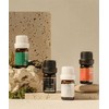 Dionel Dioneal Secret Love Romantic Rose 5ml