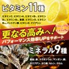 【大容量300g】JAKS ジャックス アルギニン シトルリン エナジードリンク風味 300g L-アルギニン96,000mg L-シトルリン30,000mg パウダー 亜鉛