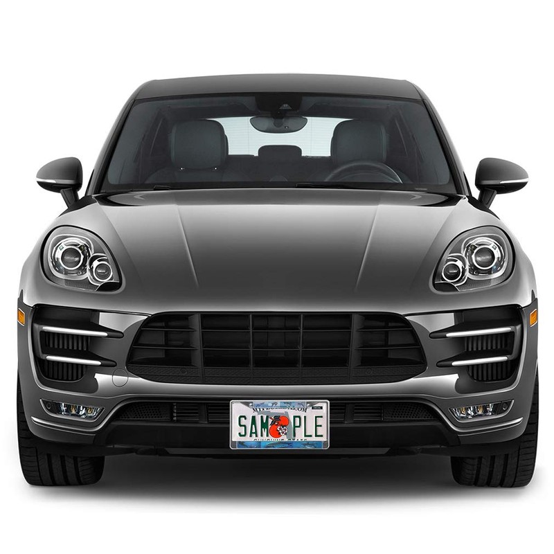 Fastasticdeals Metal Insert License Plate Frame Swimming Dolphin Weatherproof Car