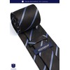 HISDERN A3-02 Formal Necktie Set, Men's, Brown, Striped, Tie Clip,