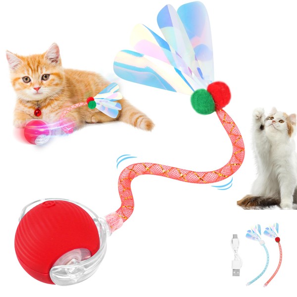 Zedesey Interactive Cat Toy Balls 2025 Upgraded Cat Toys for