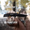 Gerber Gear 31-000594 - Cuchillo Swagger, borde dentado, punto de