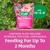 Scotts Rose & Bloom Continuous Release Plant Food, 3 lb