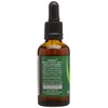 HealthAid Butcher's Broom (Ruscus aculeatus) 50ml Liquid