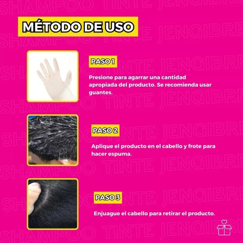 Axiu 10 Shampoo Tinte Instantaneo 15min Cubre Canas Jengibre