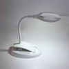 Magnifying Lamp 6 LED 2 Gears Optical Lens Adjustable Foldable