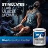 Bcaa Powder 50 Serv Gat Sport Aminoacidos Es