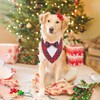 HDGDT Adjustable Red Plaid Christmas Dog Tuxedo Bandana with Bow