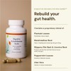 Nature's Rite Digestive Enzymes, Gut Health Rehabilitation All Natural Herbs,