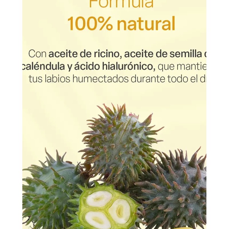 Bálsamo Labial Teia Cosméticos Naturales