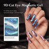 Gsnagole 9D Reflective Cat Eye Gel Nail Polish Set 2