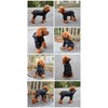 Dogs Waterproof Jacket, Lightweight Waterproof Jacket Reflective Safety Dog Raincoat