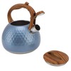 3 Liter Whistling Tea Kettle Stainless Steel Teapot with Handle