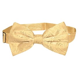 Vesuvio Napoli BOWTIE Gold Color Paisley Color Men's Bow Tie for Tuxedo or Suit