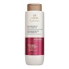Shampoo Reestructurante Cabello Quimicamente Dañado 300ml Natura Lumina