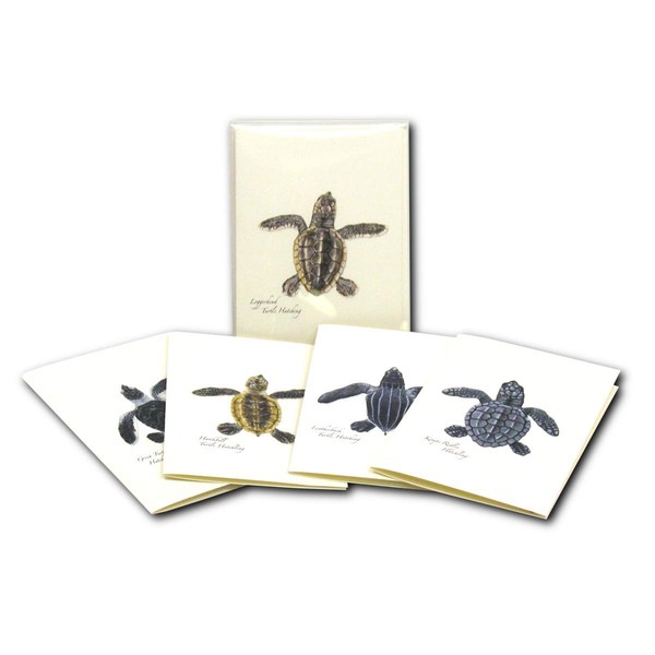 Earth Sky + Water - Sea Turtle Hatchling Assortment Notecard Set - 8 Blank Cards with Envelopes (2 Each of 4 Styles)