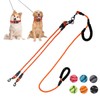 Dual Leash - Exceptional 360 Anti-Tangle & No Pull Leash
