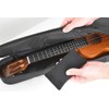 TOUGH-TX TX-SD01 TX-SD01 Moisture Conditioning Desiccant for Musical Instruments and
