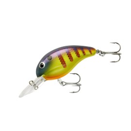 BANDIT LURES Series 200 Crankbait Bass Fishing Lures, Fishing Accessories, Dives to 8-feet Deep, 2', 1/4 oz, Viral Perch, (BDT2D73)