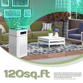 Home HEPA Air Purifier Large Room Air Cleaner for Allergies Smoke Mold Odor Dust