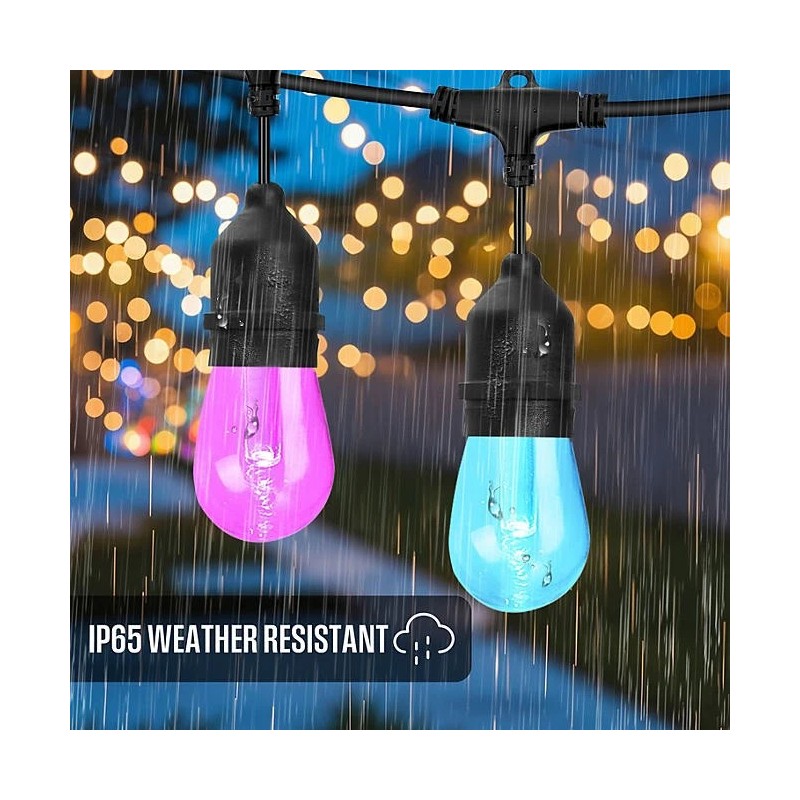 Westinghouse 24 Bulb Color Changing String Light 48 Foot